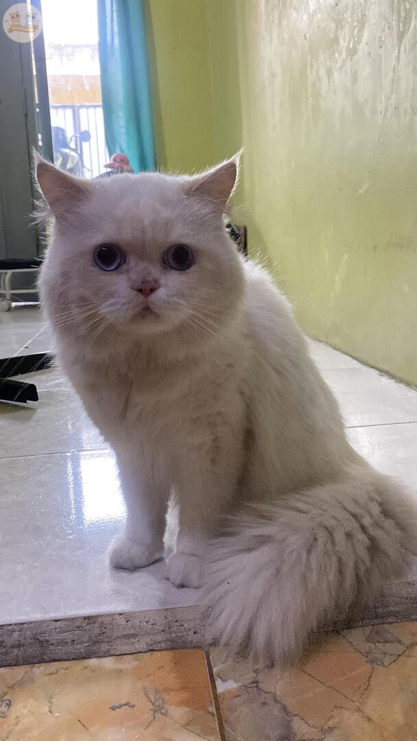 kcg! siapa disini yang mau bakpao☝🏻☝🏻pipi ku udah kyk bakpao nih