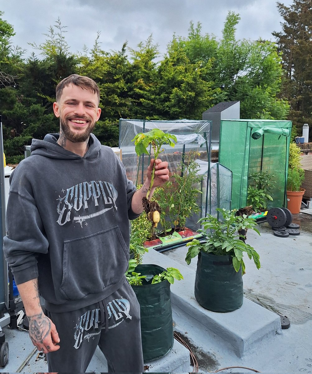 🇬🇧 ChartNerd 📊 tweet media