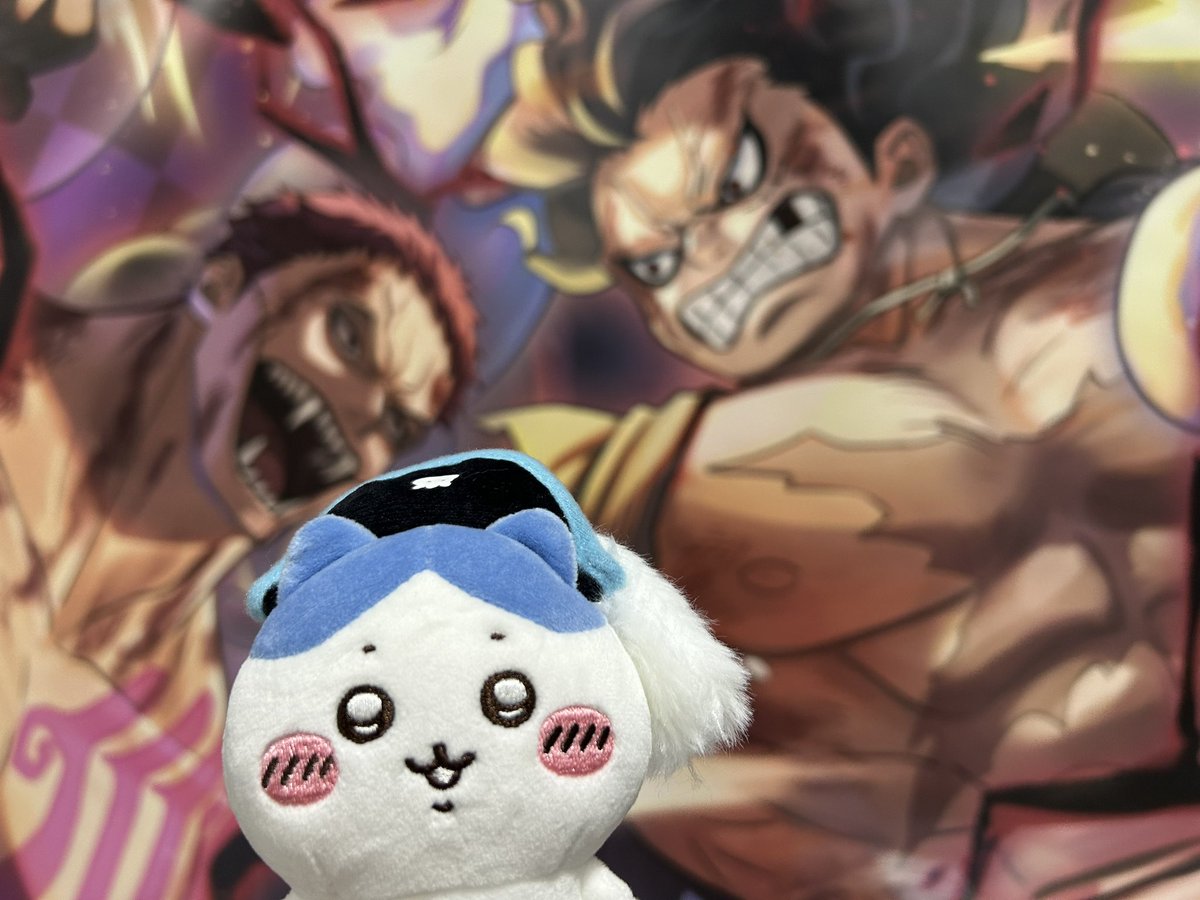 こじさん tweet media