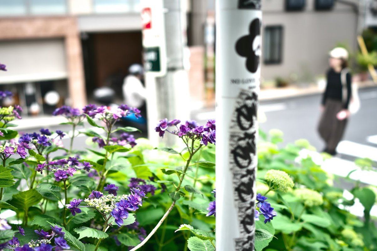 誰もが間違いを犯すことはあるし、それが人生の現実で、そういうものだと思うの。
なのに、それとは別のことを期待してしまうのは、なぜでしょうね。