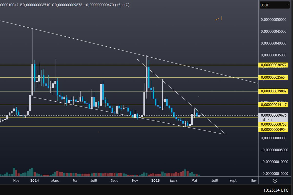GM

$paw holding strong here, we have soon closed 4 week of candles here