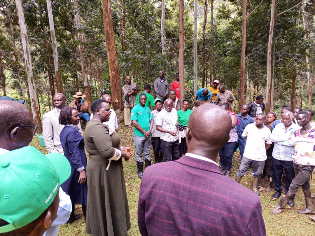 impactnexus4AnD's tweet photo. As part of iNAD, We are excited to partner with NEMA in the restoration of the beautiful ecosystem along Chaptokoi river in Kapchorwa. Let's continue to protect our biodiversity for future generations! 💚
#BiodiversityDay2025 #unep #undp #Britishcouncil #nbstv #unhabitat https://t.co/My71Lp9ao6