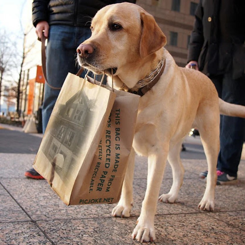 Ich habe mich bereits entschieden! 
Das neue #Haus meiner #Familie soll ein echtes und behagliches #Blockhaus mit #Natur pur sein. Ohne #Plastik, giftige #Dämmstoffe und #Thermosflasche-Effekt. Ob meine #Dosenöffner mitmachen?
blockhaus-kuusamo.de
#Bauen #Einfamilienhaus #Bau