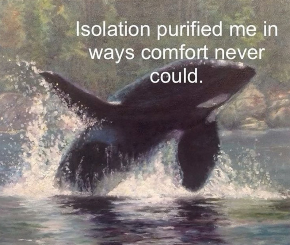 Synexdoche (@amor_fatti) on Twitter photo 