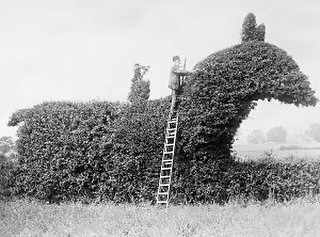 British Gardening History tweet media