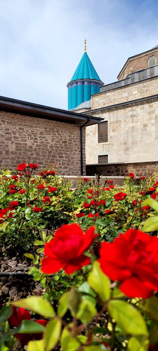 Büşra A (@bsraa_ts) on Twitter photo 