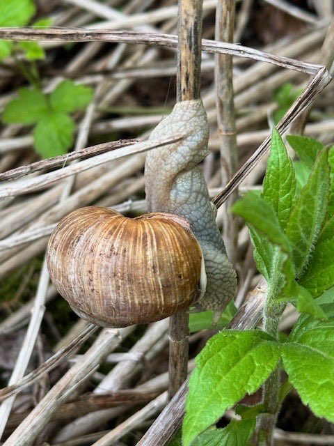 It was not only the gardeners amongst us who welcomed the rain last night…

 🌧️