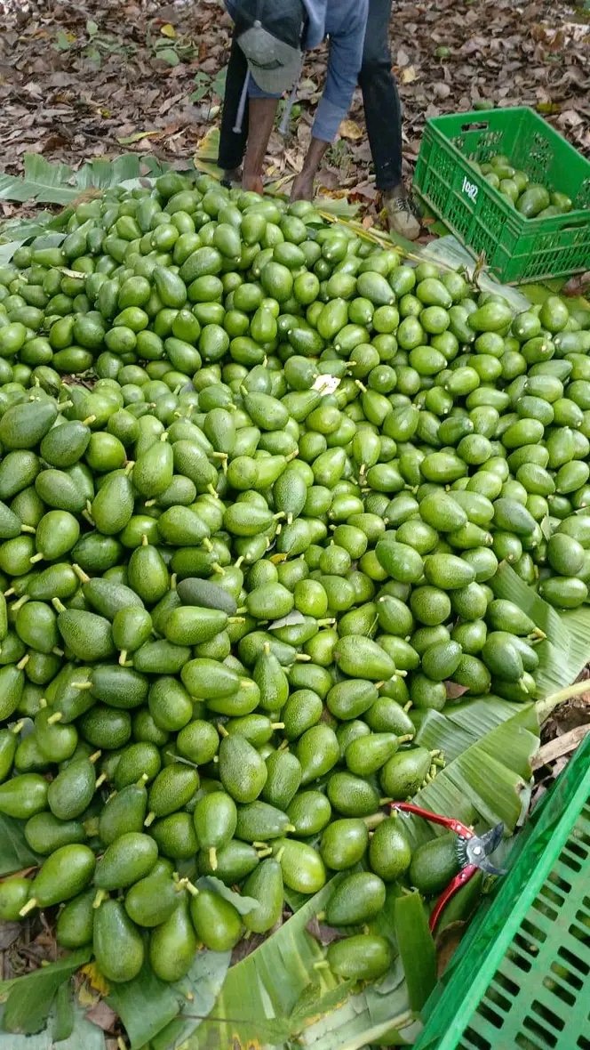 made in uganda online ltd tweet media