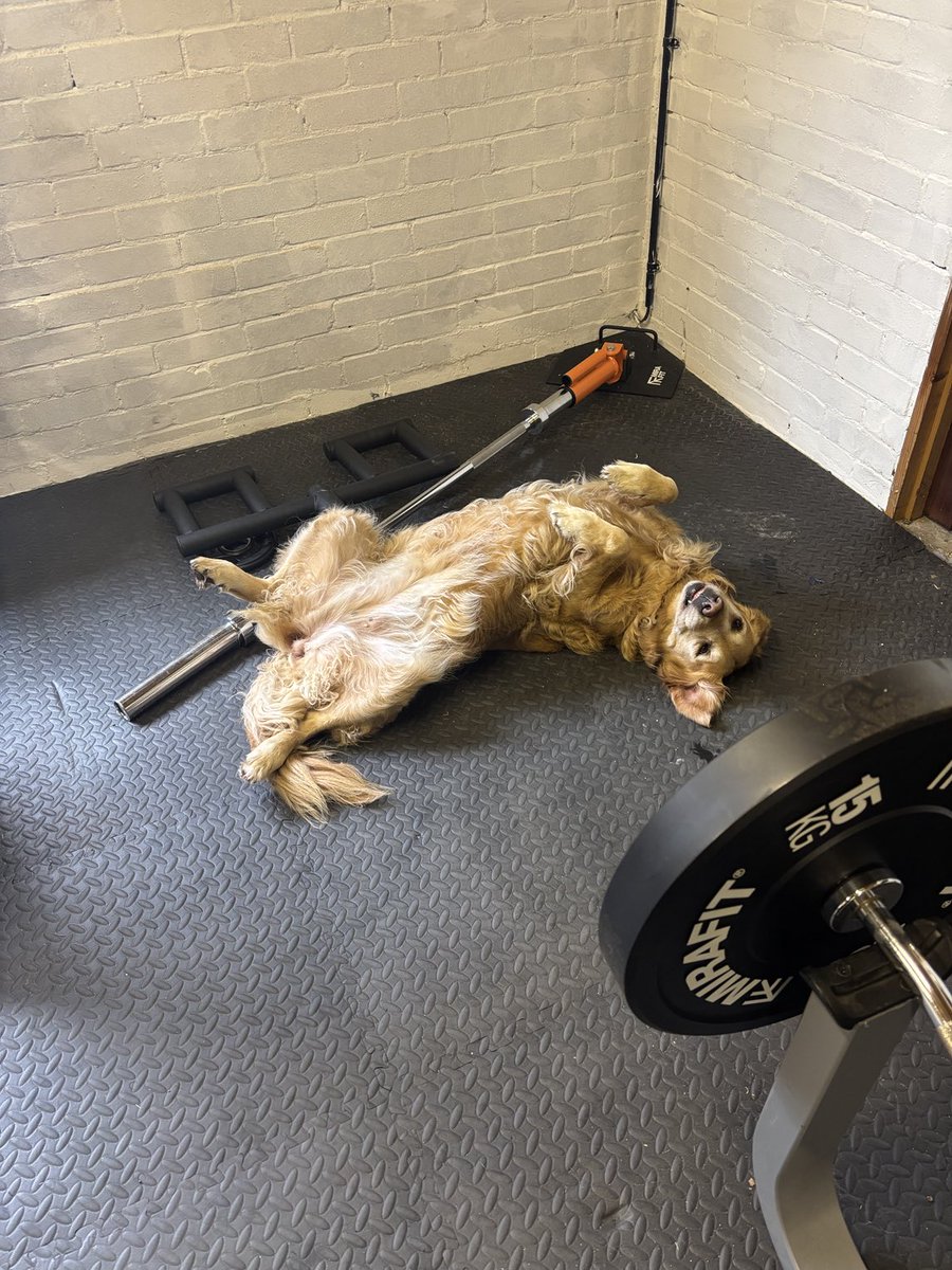 World’s best gym buddy #workingoutwithWilma