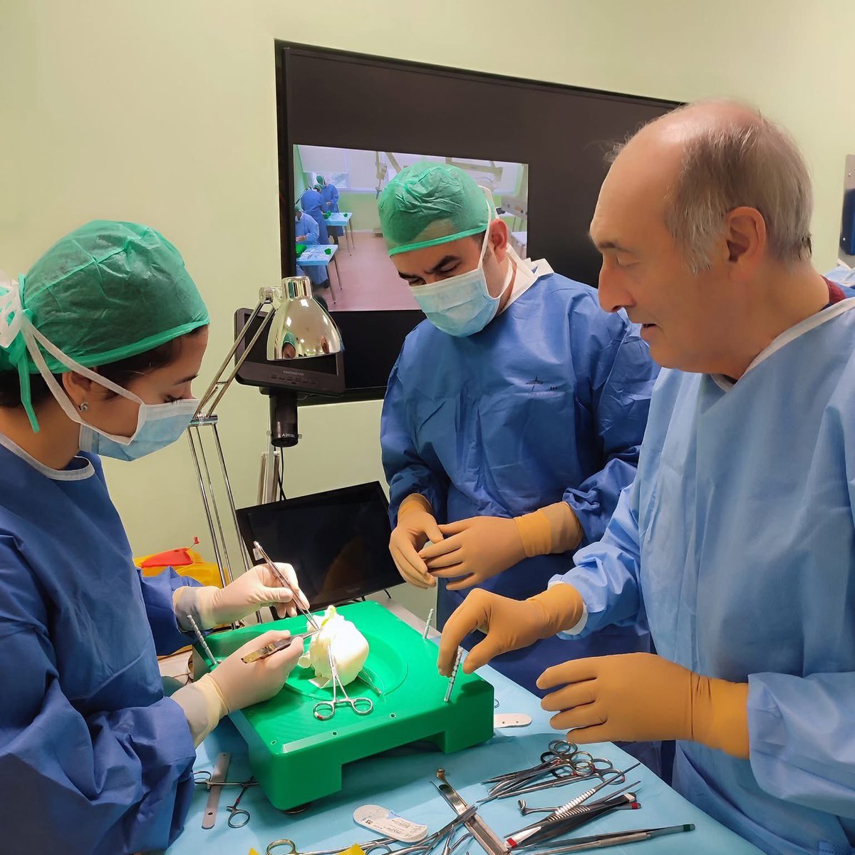 𝘈𝘭𝘭𝘰𝘳𝘢 𝘶𝘯𝘢 𝘥𝘰𝘮𝘢𝘯𝘥𝘢 𝘩𝘢 𝘤𝘰𝘮𝘪𝘯𝘤𝘪𝘢𝘵𝘰 𝘢 𝘳𝘰𝘷𝘪𝘯𝘢𝘳𝘮𝘪 𝘭𝘦 𝘯𝘰𝘵𝘵𝘪: 𝘴𝘪 𝘱𝘶ò 𝘭𝘢𝘴𝘤𝘪𝘢𝘳 𝘮𝘰𝘳𝘪𝘳𝘦 𝘶𝘯 𝘱𝘪𝘤𝘤𝘰𝘭𝘰 𝘤𝘩𝘦 𝘱𝘰𝘵𝘳𝘦𝘣𝘣𝘦 𝘦𝘴𝘴𝘦𝘳𝘦 𝘴𝘢𝘭𝘷𝘢𝘵𝘰?
Appartengono al 𝗗𝗼𝘁𝘁. 𝗔𝗹𝗲𝘀𝘀𝗮𝗻𝗱𝗿𝗼 𝗙𝗿𝗶𝗴𝗶𝗼𝗹𝗮