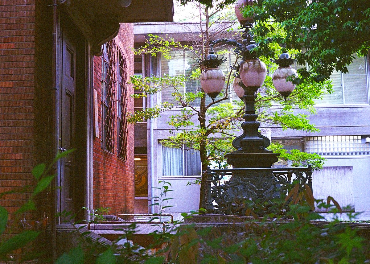 mercvrivs2's tweet photo. #東京藝術大学 (*´ω`*) #Kodak400
#OLYMPUS #OlympusPen #PenD3 #OlympusPenD3
#オリンパス #オリンパスペン
#ハーフサイズカメラ #フィルムカメラ #フィルム写真
#HalfFrameCamera #FilmCamera #FilmPhotography https://t.co/tuhmZjxETm