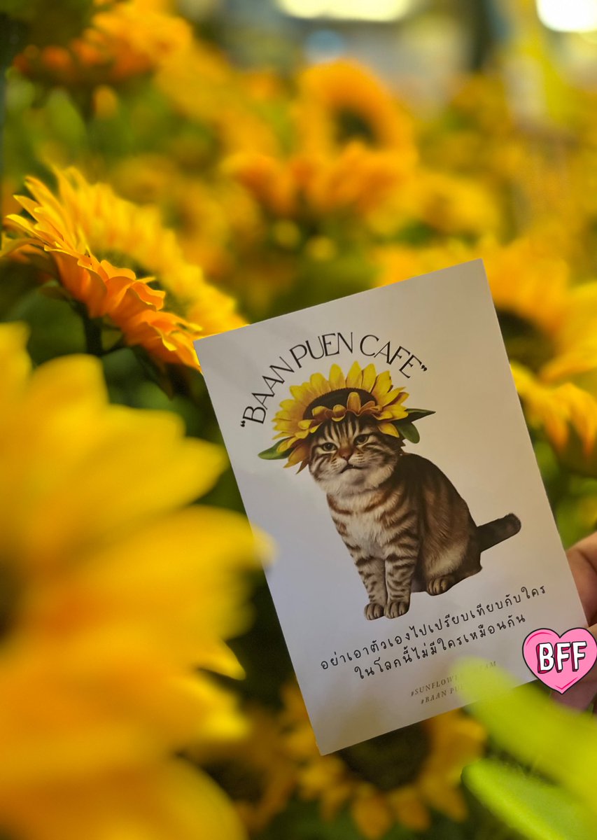 ผมพาสาวไปเดทมา 🥺👉 <a href="/IMP_VZ/">IMP ☕ ⌜VZ⌟</a>