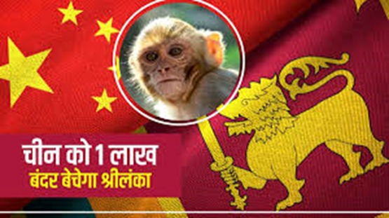 China's evil debt trap strategy is denounced by the G7 countries, who point out its damaging effects on less developed nations like Sri Lanka and other African countries. #CCPRuinedSrilanka CCP Ruined Srilanka