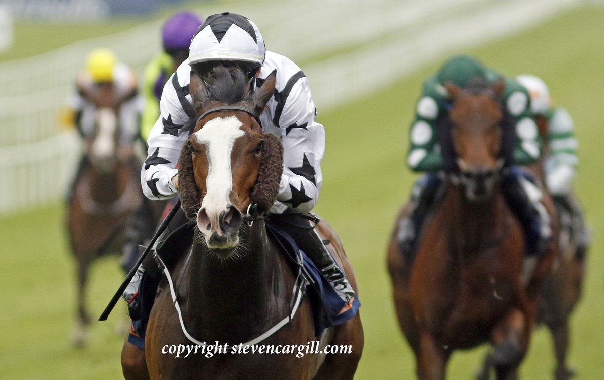 Steven Cargill (@steven_cargill) on Twitter photo 2nd win for 3yo BRIGID'S CLOAK in 6f fillies handicap <a href="/curraghrace/">The Curragh Racecourse</a> last night for <a href="/WhitsburyManor/">Whitsbury Manor Stud</a> Havana Grey <a href="/JohnnyMurtagh/">Johnny Murtagh</a> <a href="/NBradleyRacing/">Nick Bradley Racing</a> 2nd win for 3yo BRIGID'S CLOAK in 6f fillies handicap <a href="/curraghrace/">The Curragh Racecourse</a> last night for <a href="/WhitsburyManor/">Whitsbury Manor Stud</a> Havana Grey <a href="/JohnnyMurtagh/">Johnny Murtagh</a> <a href="/NBradleyRacing/">Nick Bradley Racing</a>