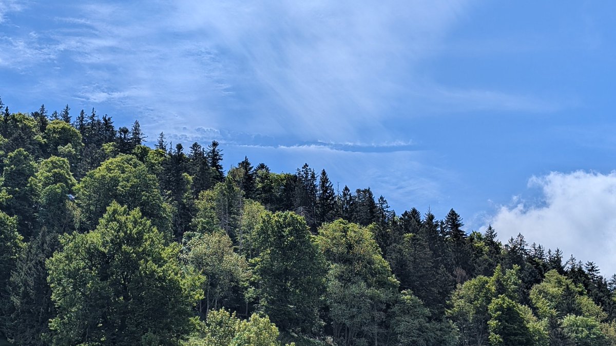 Liniearen Wolkenstreifen, Leewelle-Effekt?
Ulmethöchi, Lauwil BL