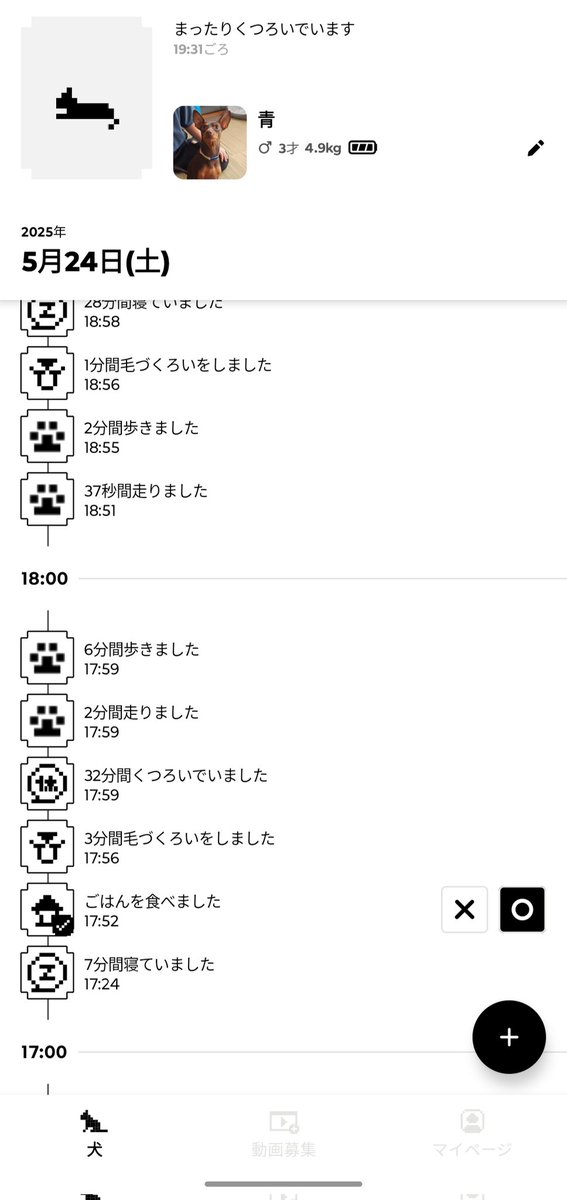 momo_turnt111's tweet photo. catlogの犬用データフィードバックに選んでいただきました🐕️
歩いたり寝たり、データからその姿が想像できてかわいいなぁってなる🤭

猫ともどもお世話になります！

#Catlog4Dogs https://t.co/tfBqOv7uAk