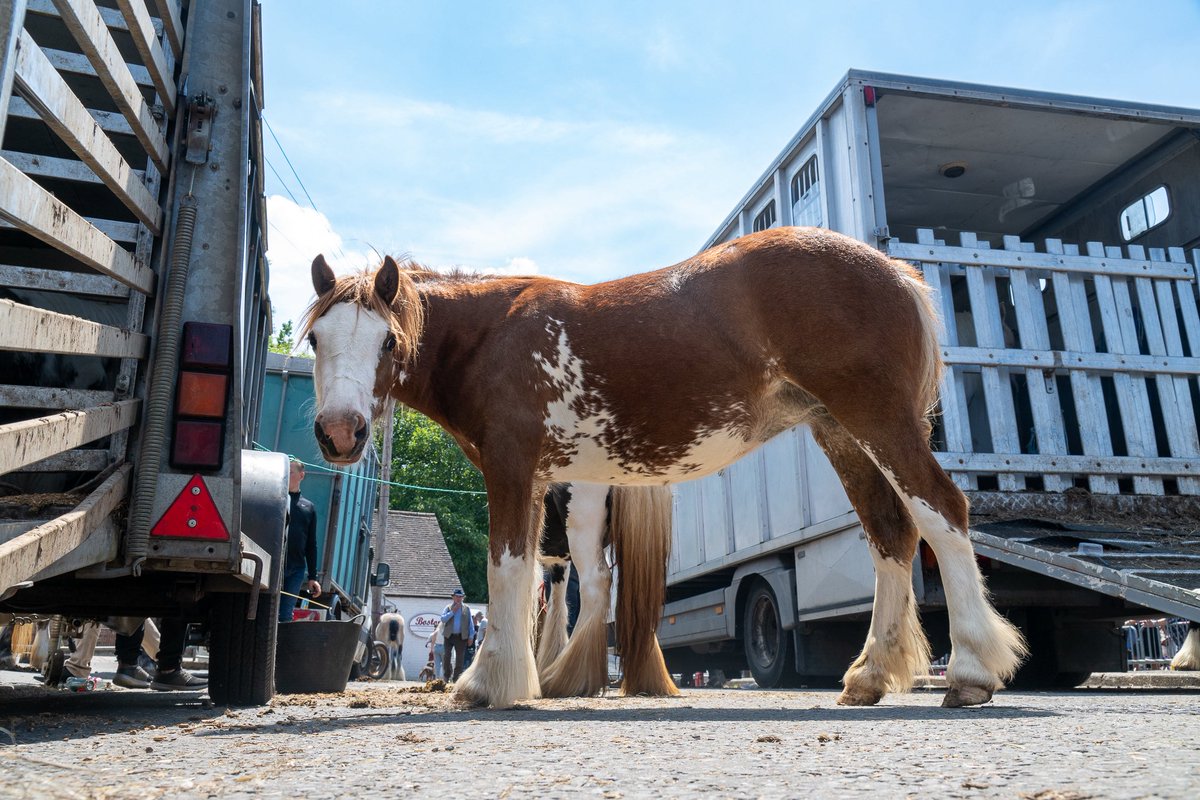 GonzoStreetPhotography tweet media