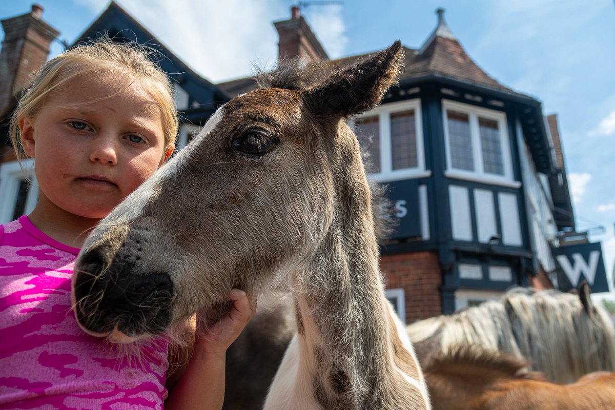 GonzoStreetPhotography tweet media