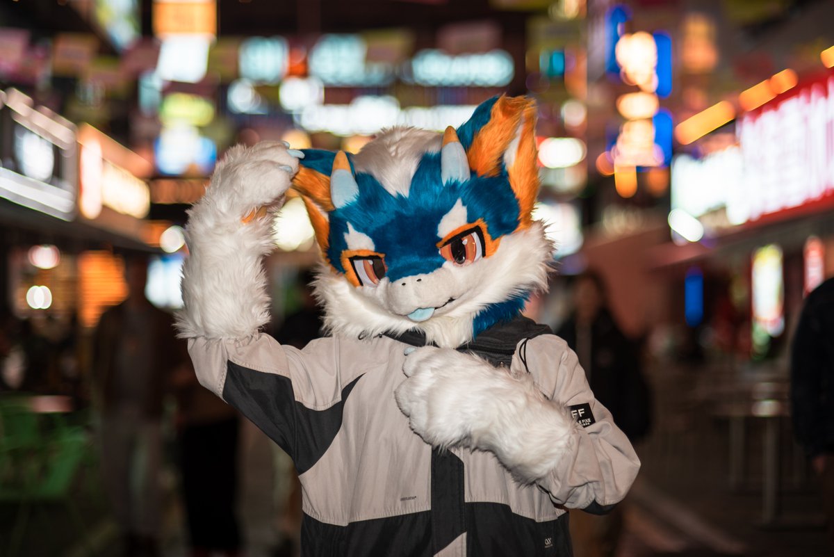 #FursuitFriday
当时间远去，回忆是否会蒙上滤镜呢
(迟来的毛五呜呜呜）
📸芒果