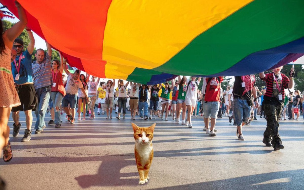 George The Stourbridge Junction Station Cat (@thestourbridge) on Twitter photo In Brum’s bright heart, the colours rise,
With love that dances in our skies.
No judgment here, just open arms—
A city proud of all its charms. 🌈💖
Love knows no borders, no bounds, no fear,
It speaks in every voice, loud and clear
Happy Birmingham Pride 
#BirminghamPride In Brum’s bright heart, the colours rise,
With love that dances in our skies.
No judgment here, just open arms—
A city proud of all its charms. 🌈💖
Love knows no borders, no bounds, no fear,
It speaks in every voice, loud and clear
Happy Birmingham Pride 
#BirminghamPride