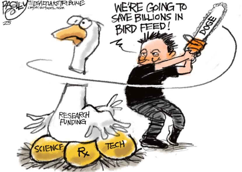 Finanziamenti a ricerche scientifiche, mediche, tecnologiche
"Salveremo miliardi in mangime per uccelli!"
#DOGE 
#TrumpIsDestroyingAmerica
#scritturebrevi
