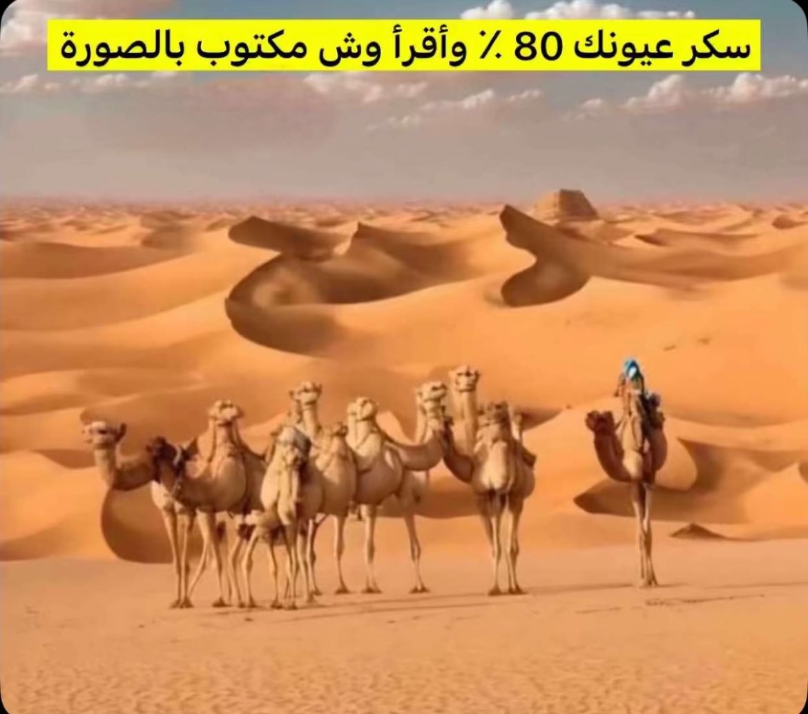 محمد الشمري tweet media