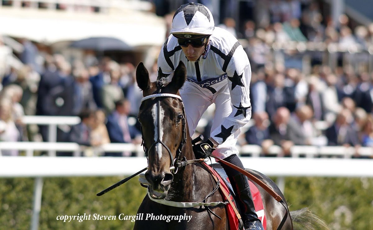 🇾🇪 Doon 🐎 (@doon1976) on Twitter photo Unfortunately, Ali Shuffle wont be winning the Hillary Needler at <a href="/Beverley_Races/">Beverley Racecourse</a> this afternoon as she is a Non Runner. 😢
She will now be aimed at the Group 3 PRIX DU BOIS LONGINES at <a href="/fgchantilly/">FG Chantilly</a> over 6f in June 😀
Photo Credit: <a href="/Steven_Cargill/">Steven Cargill</a> Unfortunately, Ali Shuffle wont be winning the Hillary Needler at <a href="/Beverley_Races/">Beverley Racecourse</a> this afternoon as she is a Non Runner. 😢
She will now be aimed at the Group 3 PRIX DU BOIS LONGINES at <a href="/fgchantilly/">FG Chantilly</a> over 6f in June 😀
Photo Credit: <a href="/Steven_Cargill/">Steven Cargill</a>