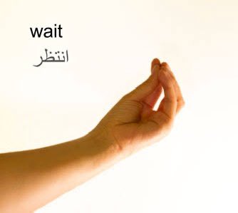 Syrian Girl (@partisangirl) on Twitter photo 