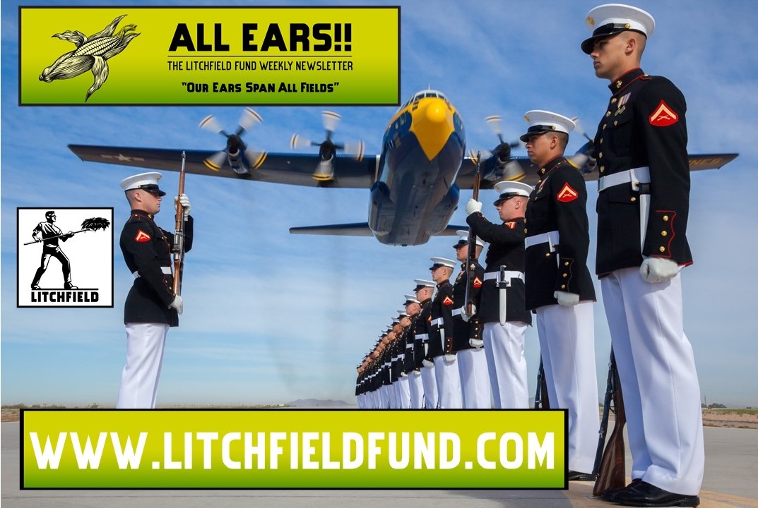 This week's All Ears!!

🌽🌽Principles🌽🌽
lnkd.in/gNrR5fFD

#cpgindustry #cpgnews #investing #founders #networking #amwriting 
#investors #entrepreneur #writerscommunity #writingcommunity