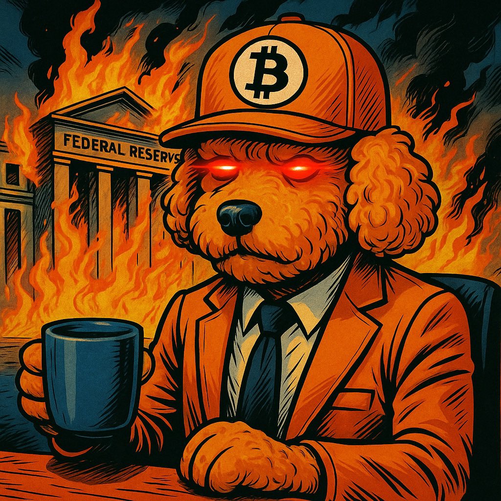 Bitcoin Dawg tweet media