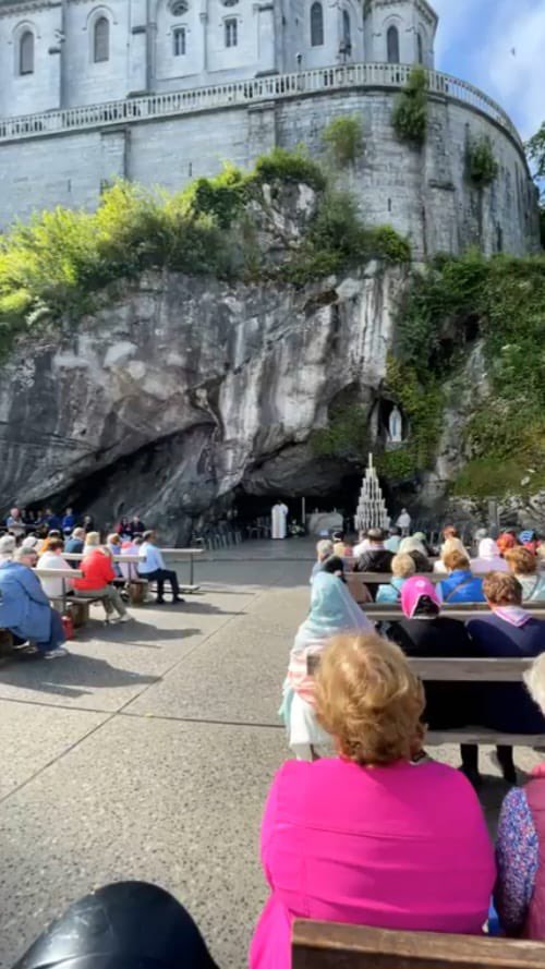 Diocese of Ossory (@ossorydiocese) on Twitter photo Blessings on our Pilgrims on their journey home from our Diocesan Pilgrimage in Lourdes. Thank you to all, people, priests, & especially to the wonderful staff and volunteers for their generosity of spirit in their willingness to serve <a href="/CatholicBishops/">CatholicBishops</a>
<a href="/IrishCathNews/">The Irish Catholic</a> Blessings on our Pilgrims on their journey home from our Diocesan Pilgrimage in Lourdes. Thank you to all, people, priests, & especially to the wonderful staff and volunteers for their generosity of spirit in their willingness to serve <a href="/CatholicBishops/">CatholicBishops</a>
<a href="/IrishCathNews/">The Irish Catholic</a>