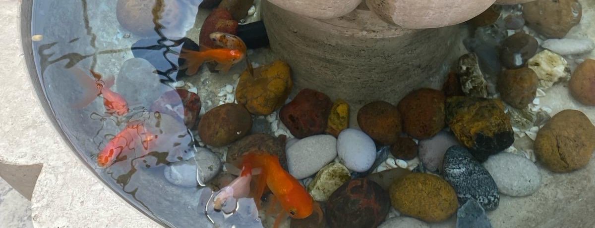 Asude🌿🍉 (@_asude7) on Twitter photo 