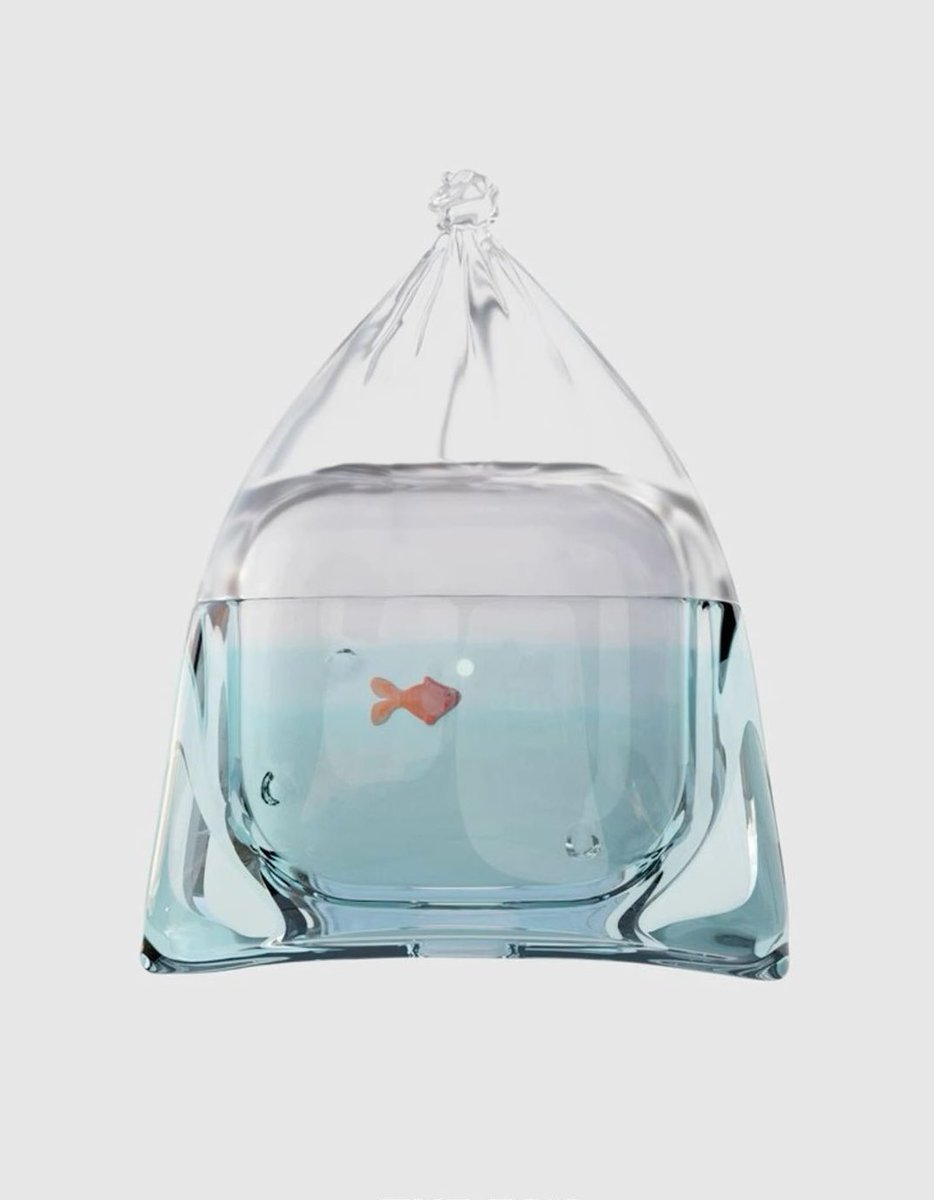 fish airpods case 🫧🐡