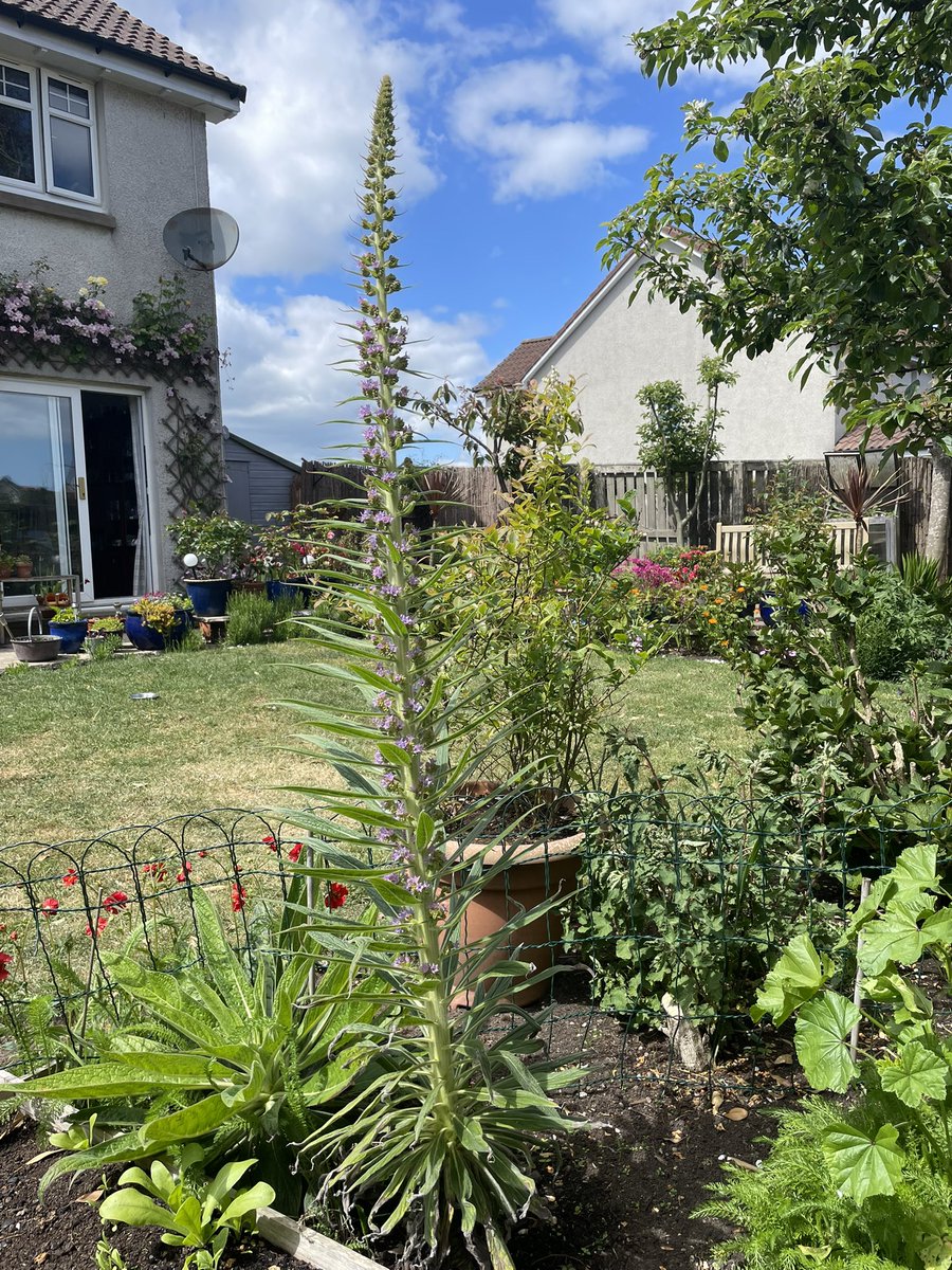 Alasdair Busby tweet media