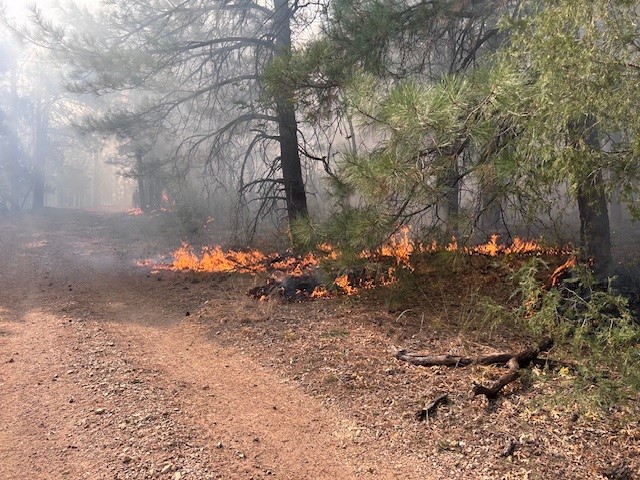 Let's not do this over the weekend. We'll have nice temperatures, mostly sunny skies, but also some wind. Don't be the person that didn't put out your campfire, threw your butt or dragged a chain. Park that ATV in the rocks, not the grass. Have fun and be safe! #azwx