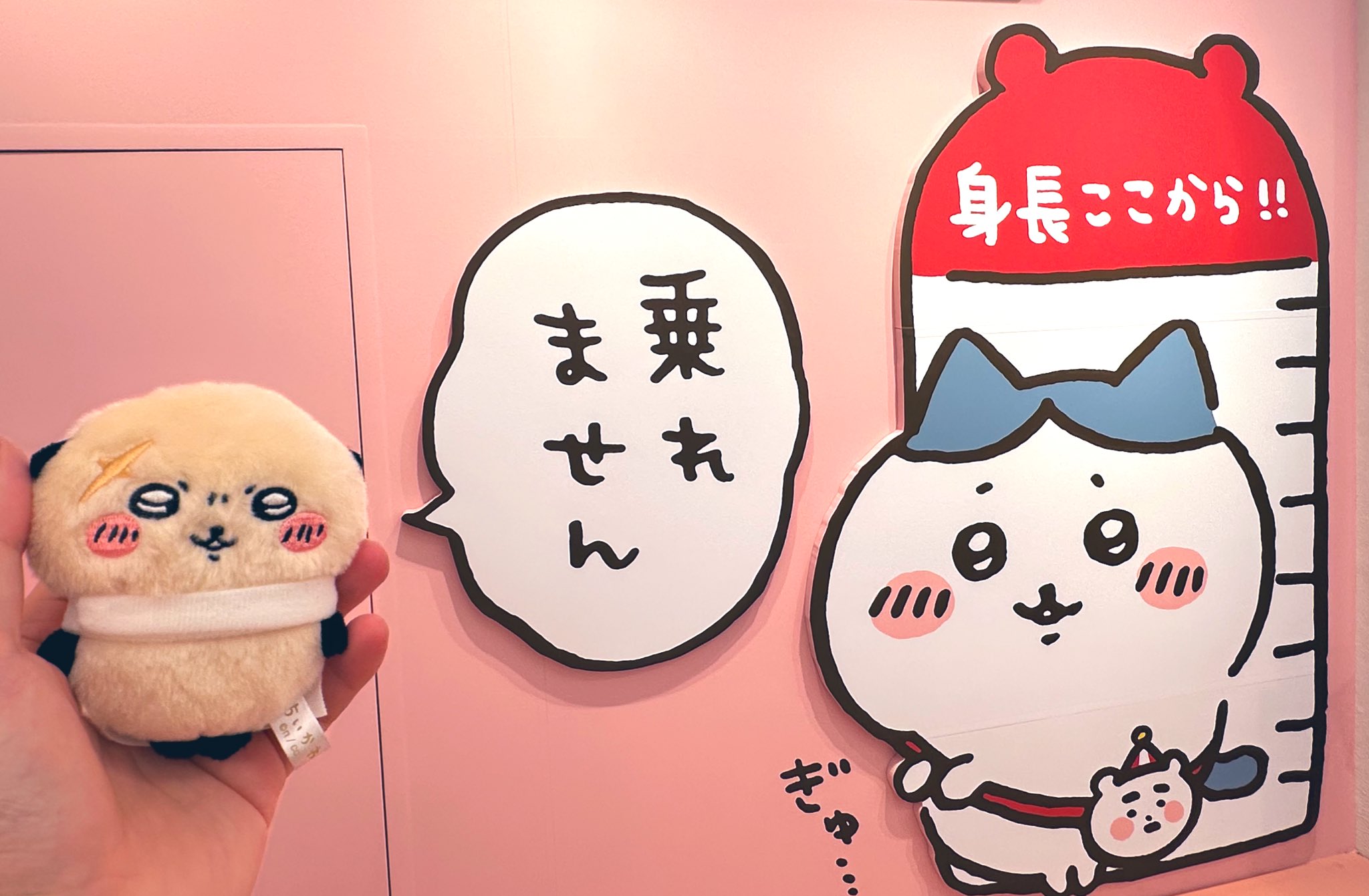 らっこ師匠 (@Chiikawa_rakko_) / X