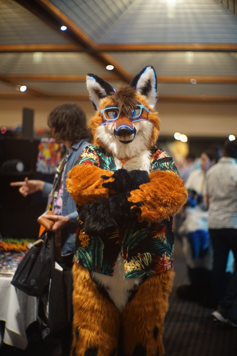 BlakeTheFox's tweet image. Rawr ;3
(Photo by Raposa Photography)