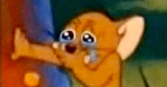 Y’all I’m really about to have sold 400 shirts across the UNITED STATES and EUROPE!!! 😭🥹🔥