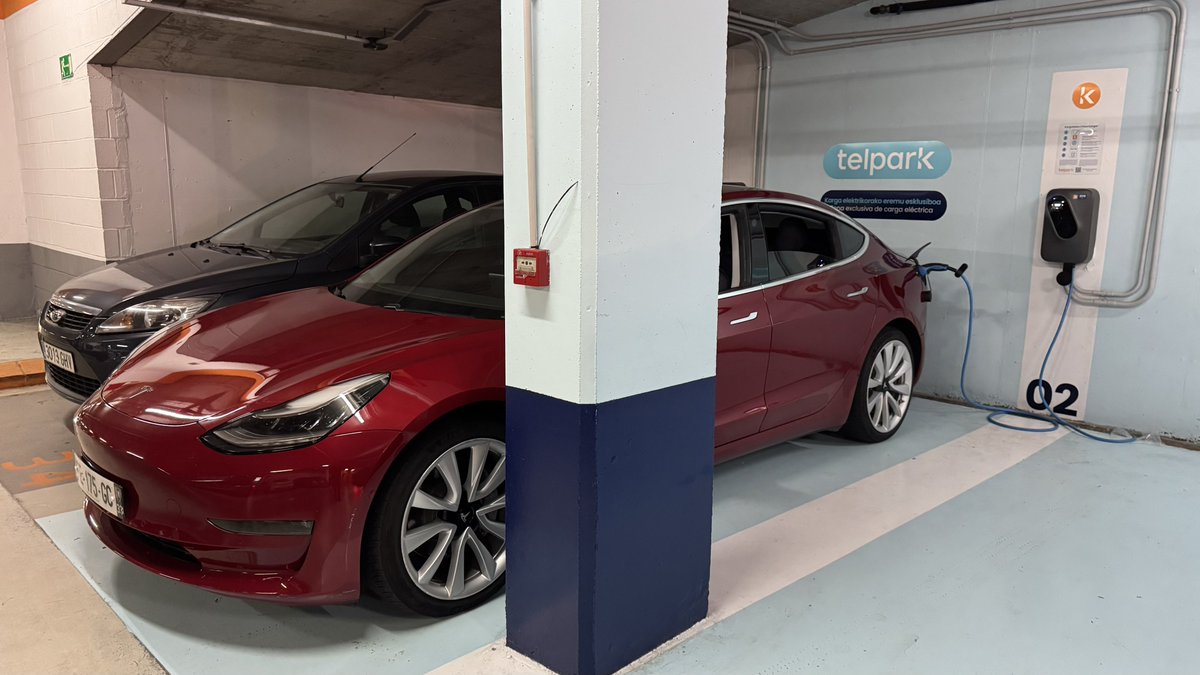 TeslaStars✨ tweet media