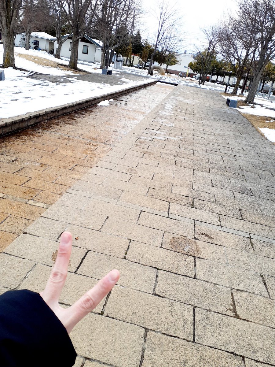 むぎねこ tweet media