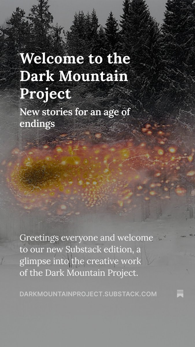 Charlotte Du Cann tweet media