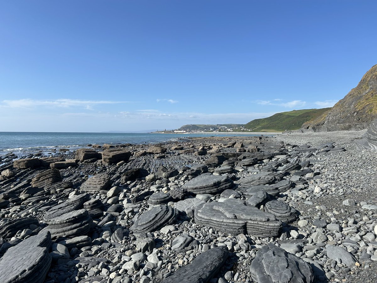 kinochytrid's tweet photo. I love the beautiful town, Aberystwyth
Thank you so much @arwynedwards , his lab, and Tris. https://t.co/28ffqbfMKM