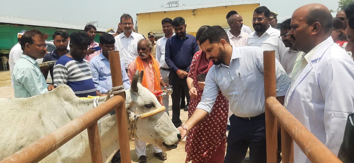 CDO Barabanki (@cdo_barabanki) on Twitter photo नोडल अधिकारी श्रीमती संदीप कौर, निदेशक महिला कल्याण उ.प्र. द्वारा निबलेट फार्म स्थित बृहद गौ आश्रय स्थल का निरीक्षण किया गया। सीएम सहभागिता योजना अंतर्गत "सैम मैम" श्रेणी के बच्चों के परिवारों को दुधारू गाय वितरण की प्रगति की समीक्षा कर आवश्यक निर्देश दिए।
<a href="/CMOfficeUP/">CM Office, GoUP</a> <a href="/UPGovt/">Government of UP</a> नोडल अधिकारी श्रीमती संदीप कौर, निदेशक महिला कल्याण उ.प्र. द्वारा निबलेट फार्म स्थित बृहद गौ आश्रय स्थल का निरीक्षण किया गया। सीएम सहभागिता योजना अंतर्गत "सैम मैम" श्रेणी के बच्चों के परिवारों को दुधारू गाय वितरण की प्रगति की समीक्षा कर आवश्यक निर्देश दिए।
<a href="/CMOfficeUP/">CM Office, GoUP</a> <a href="/UPGovt/">Government of UP</a>