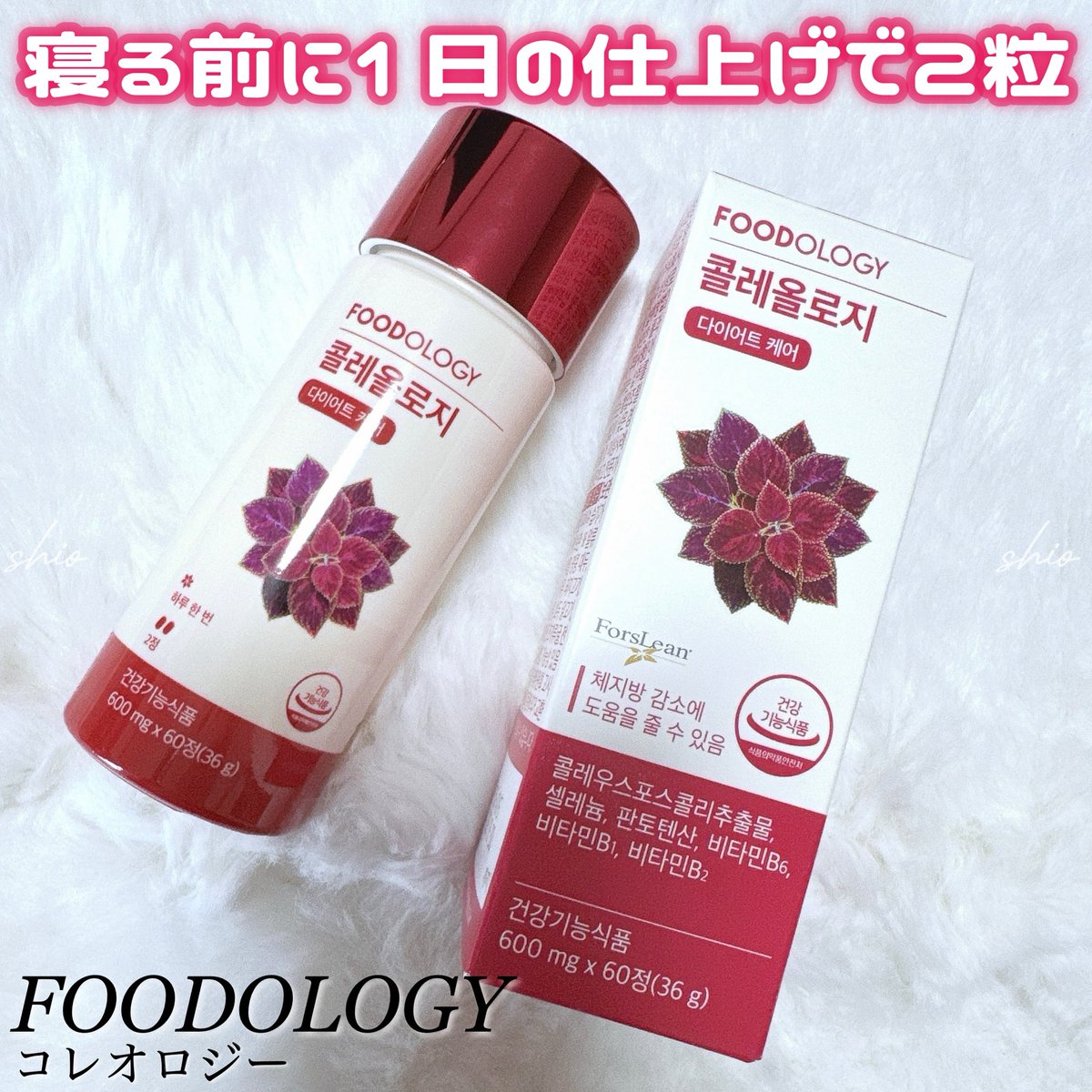 コレオロジー錠剤 FOODOLOGY フードオロジー コレオロジー快調ゼリー