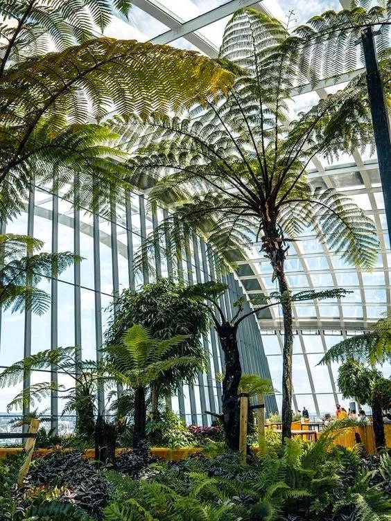 SultanAngger's tweet image. 4 places to go for a weekend walk in London 🇬🇧