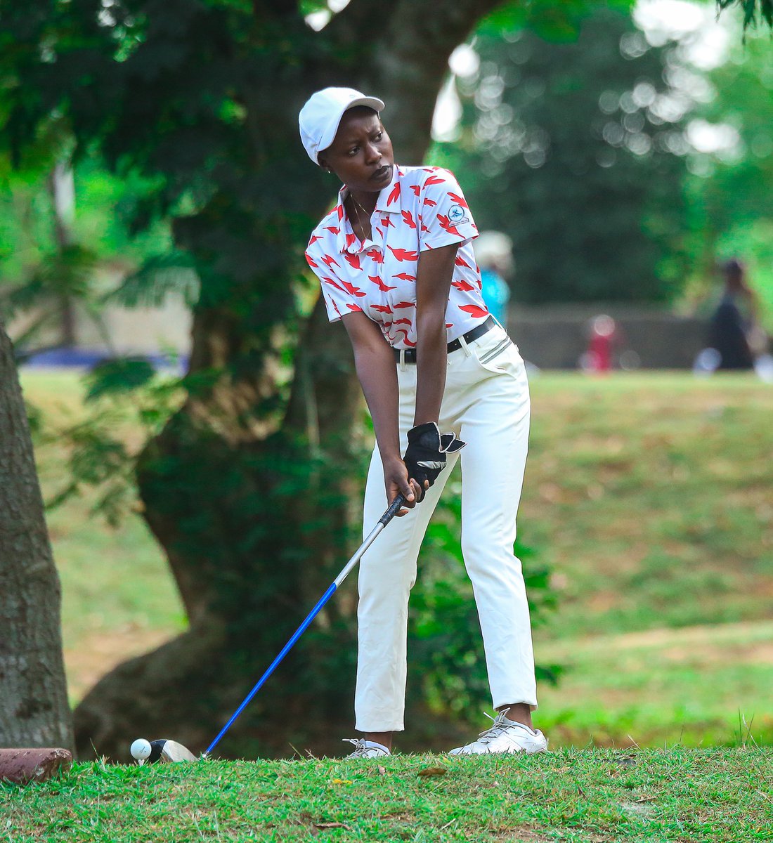 SwanPlateau's tweet photo. 🥉ANOTHER BRONZE MEDAL FOR TEAM PLATEAU!

Beatrice Onoja adds another bronze for Team Plateau in the Women’s Match Play Singles at the Gateway Games!

Team Plateau keeps shining!

#TeamPlateau #NSF2024 #Golf #GatewayGames #SWANPlateau https://t.co/9lGcy3ENB3