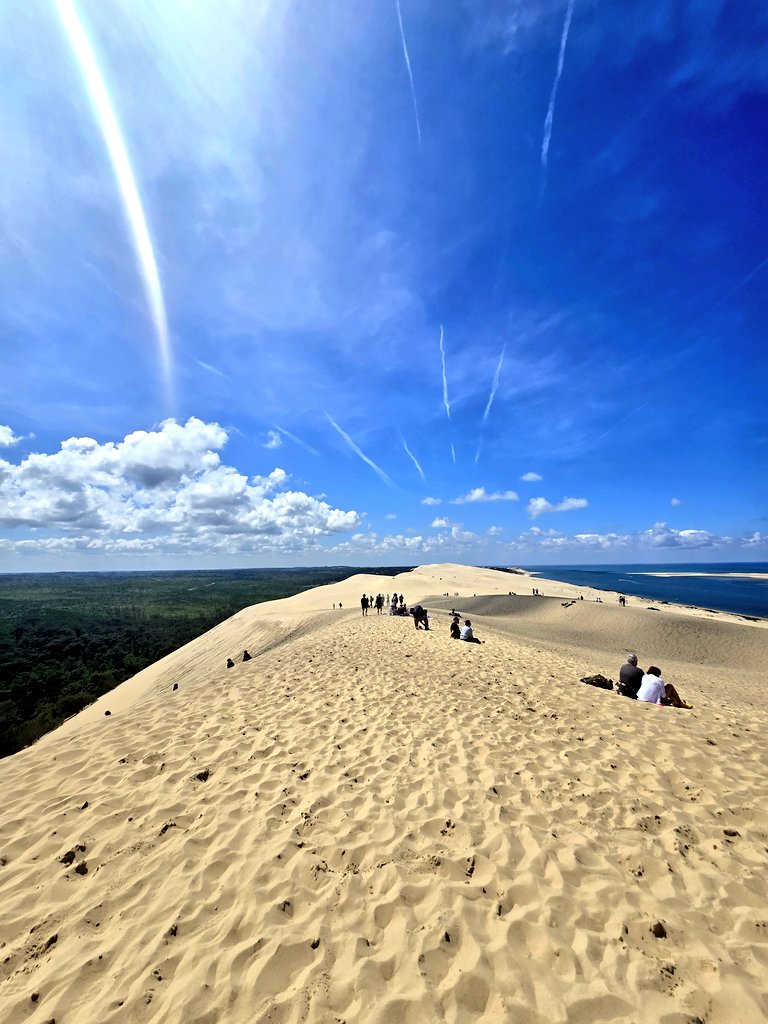 Europe's tallest sand dune, the Dune du Pilat.
To the left, ancient forest. 
To the right, the Atlantic Ocean.