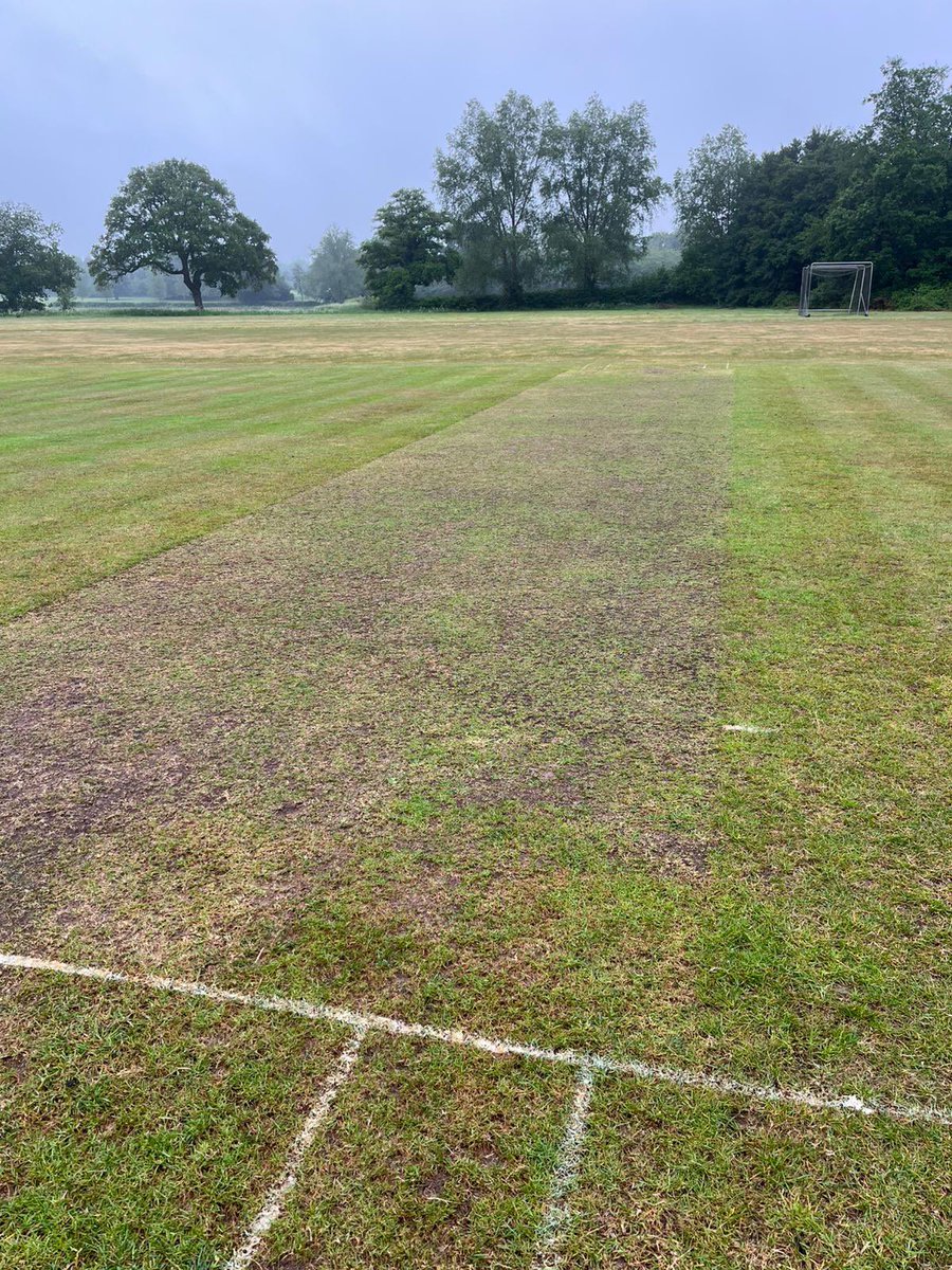 Shipbourne CC tweet media