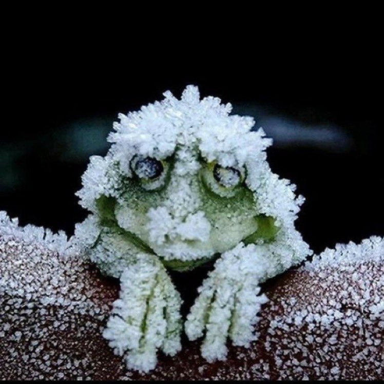 🎺🥁WE GAMIIINN’ ALGS CC #3🥁🎺

👤<a href="/zFxkes/">Fakes</a> + Anark3y + <a href="/RicardoEmfm/">Silva</a> - Back 2 Back

👤<a href="/sweterflayer/">sweterflayer</a> 👤<a href="/Paagyy/">pagy</a> +<a href="/SabzBear/">TSM Sabz</a> - Phoenix Legacy 

📺 twitch.tv/sweterflayer 

👤<a href="/Thunder_Comp/">Thunder</a> + <a href="/SWL_Phantasm/">Phantasm</a> + <a href="/Inshanity_ttv/">Inshanity</a>  - Killing the team

📺twitch.tv/thunder762_

1/2