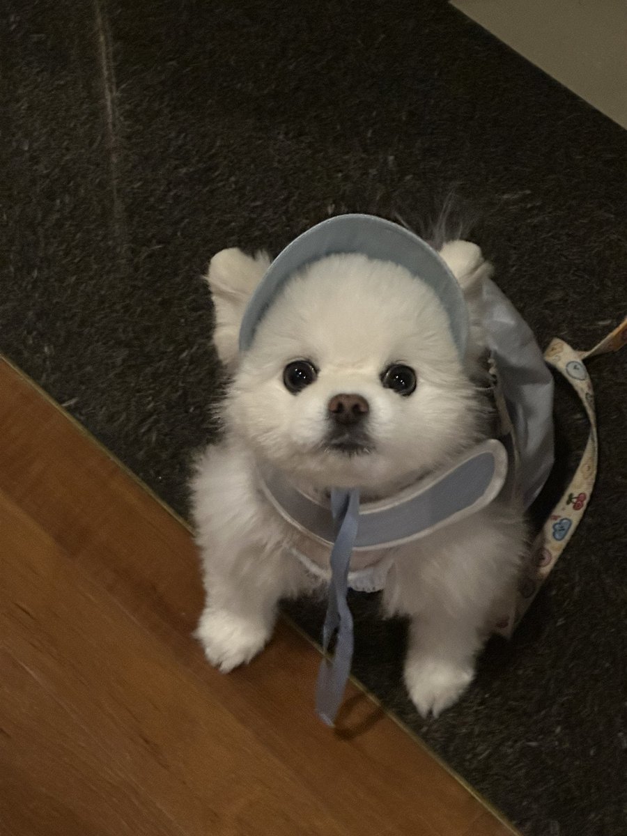 Algamja__wak's tweet photo. 올공 출발 전 / 도착 / 포토존 40분 대기 후 https://t.co/DaHj7sIIRd